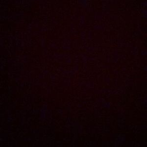 Meet your Posher, Damon